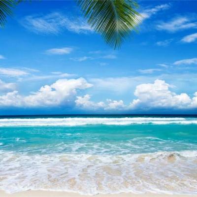 加拿大28手机app下载